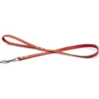 Beeztees BZ LEDERLEINE ROT 100X16