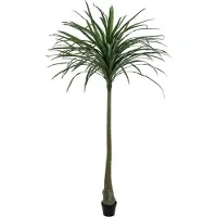 Europalms Dracena, künstlich, grün, 220cm