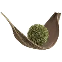 Europalms Sukkulenten Kugel