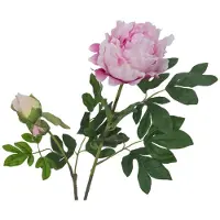 Europalms Pfingstrosenzweig Premium, Kunstpflanze, pink, 100cm
