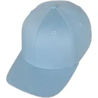 Flexfit Flex Cap
