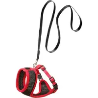 Flamingo Harms Katzengeschirrset schwarz/rd120 cm 15 mm Katze