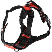 Flamingo Geschirr Balou rot, Größe: XL