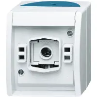 Busch-Jaeger 2661 W-53, Grün, Weiß, IP44