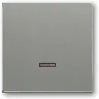 Busch-Jaeger Busch Jaeger 6599-0-2942 Lichtschalter Grau Kunststoff