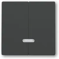 Busch-Jaeger 6545-81 Bedienelement, mit Glimmlampe anthrazit