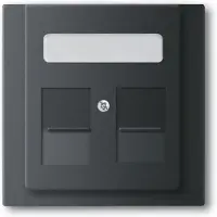 Busch-Jaeger Zentralscheibe mit Beschriftungsfeld 2CKA001753A0160