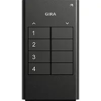 Gira 535410. Typ: Handgeführt, Schnittstelle: RF Wireless, Übertragungstechnik: Kabellos. Batterietechnologie: Lithium,