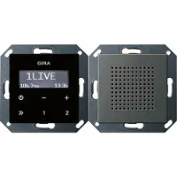 Gira UP-Radio 2280600 RDS Lautsprecher 55 Edelstahl - Stereo