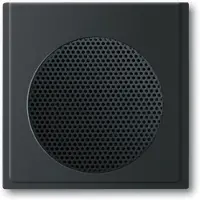 Busch-Jaeger Zentralscheibe 2CKA008200A0128
