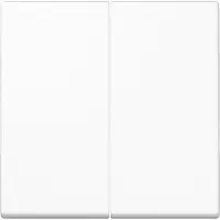 JUNG Wippe Serien Schalter A aws glz A1702BFWW