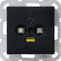 Gira Potenzialausgleich-Dose 2f System 55 0405005