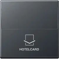 JUNG Hotelcard Schalter A anth mt A590CARDANM