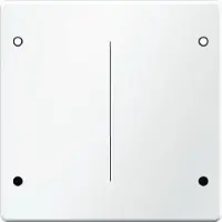 Hager Berker Q.1/Q.3 Steuerelement/Zentralplatte Schaltgerät - 85142129