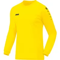 Jako Trikot Team manches longues