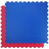 Trendy Sport Sportmatte Profi Blau/Rot