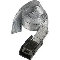 Masterlock 3110Eurdat 2 Spanngurte 2,5M