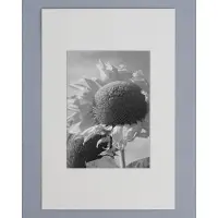 Walther design Passepartouts, chamois, 9 x 13 cm