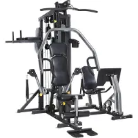 Horizon fitness Kraftstation Torus 5