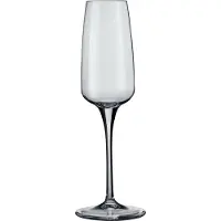 Bormioli Rocco Verkostungsbecher Aurum Flute Cl 23 H 23,5 Ø Cm 5,4 Packung Da 6