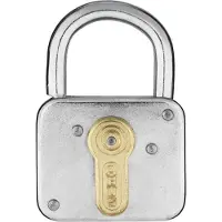 ABUS AV-Vorhangschloss 235Z/50, mit Schlüsselllochverdeck, Stahl, verchromt