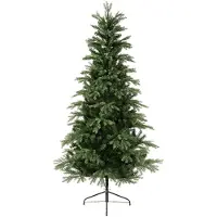 Everlands Weihnachtsbaum Sunndal Tanne h210 cm grün