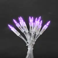 Konstsmide - LED Minilichterkette, 35 purpurfarbene Dioden, 230V, Innen, transparentes Kabel ; 6302-453