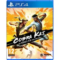 Cobra Kai The Karate Kid Saga