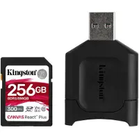Kingston MLPR2/256GB