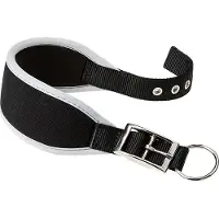 Ferplast Ergocomfort 15 Mm 32 Cm Dog Collar Schwarz