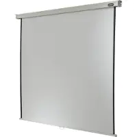 Celexon Rolloleinwand Professional 120 x 120 cm - 1:1 - Gain 1,2