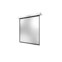Celexon Deckeneinbauleinwand Motor Professional Plus 180 x 180 cm