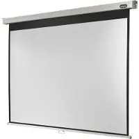 Celexon Rolloleinwand Professional 280 x 210 cm - 4:3 - Gain 1,2