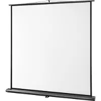 Celexon Leinwand Ultramobil Professional 120 x 120 cm