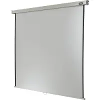 Celexon Leinwand Rollo Professional Plus 160 x 160 cm