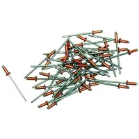 Gesipa K14 5 X 10 Mm Niete 250 Einheiten