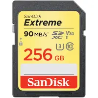 SanDisk Extreme, 256 GB, SDXC, Klasse 10, UHS-I, 90 MB/s, 60 MB/s
