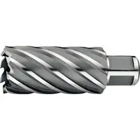 Phantom 621503800 HSS Kernbohrer 38mm Schnitttiefe 50mm