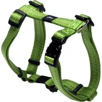 Rogz Classic Sj11 Hundegeschirr Grün M Grün M