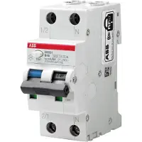 ABB DS201B16A100 FI/LS-Schalter 6kA, 1P+N, Typ A, B 16, 100mA 2CSR255180R2165