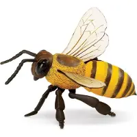 Safari Honey Bee Gelb From 3 Years