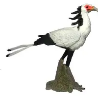 Collecta Tachan Vogel Sekretär L Figur Weiß 3-6 Years Weiß 3-6 Years