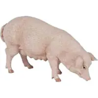 Papo 51135, Mehrfarbig, Junge/Mädchen, Junge/Mädchen, 3 Jahr(e), 90 mm, 30 mm