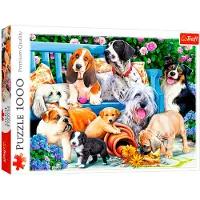 Trefl Dogs in the garden, 1000 Stück(e), Tiere, 12 Jahr(e)
