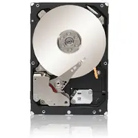 Dell HD 300G SAS6 10 2.5 W-SIR E/C