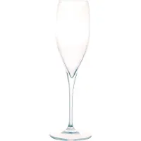 Bormioli Rocco Sektgläser Galileo 260 ml (2er-Set)