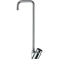 Delabie Trinkbrunnenarmatur Schwanenhals für Rilsan-Schlauch 4x6mm