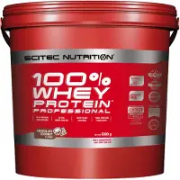 Scitec Nutrition Scitec 100% Whey Professional 5000 g Pulver