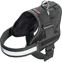 Flamingo Geschirr Titan schwarz, Maße: 44-50 cm