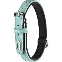 Flamingo Delu Halsband mit Neoprenpolsterung grün S/M